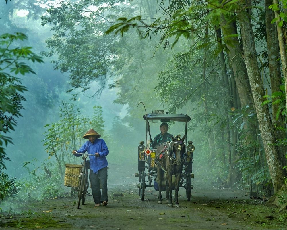 Morning at Small village Jogyakarta