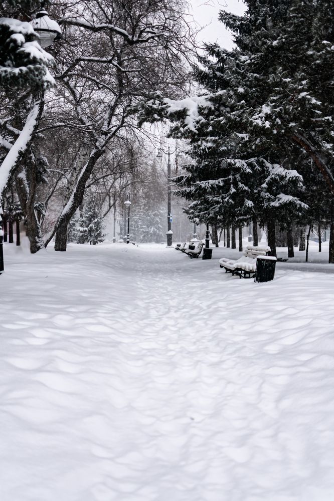 Photograph by Екатерина Абатурова