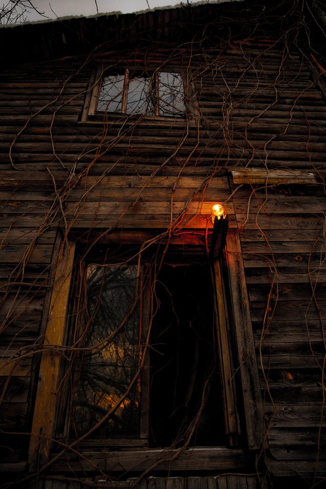 Фотография автора Ирина Гриценко