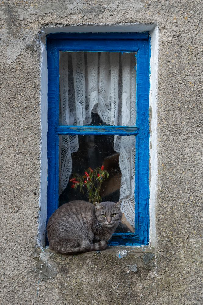 Фотография автора Vadim Svirin