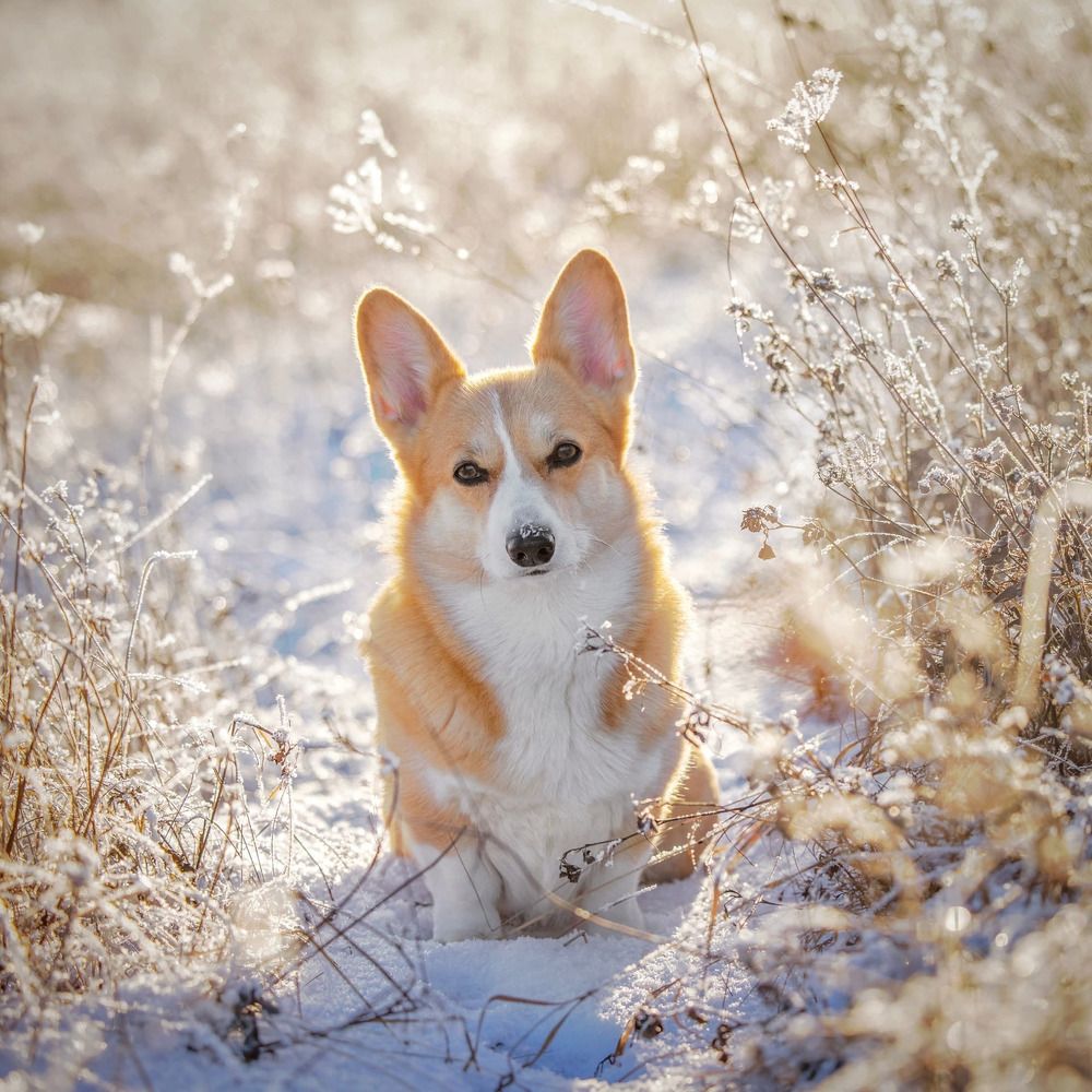 Photograph by Татьяна Тихомирова