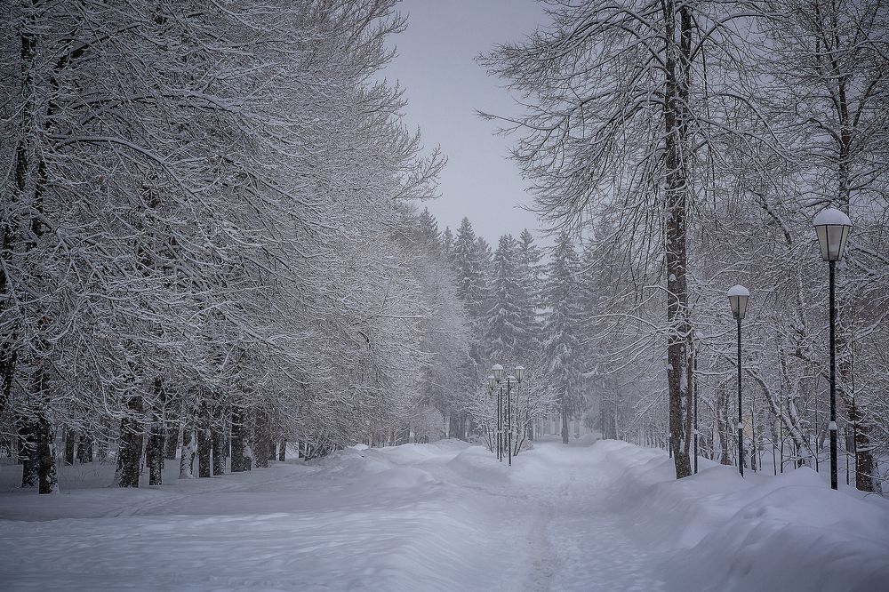 Photograph by Алексей Трифонов