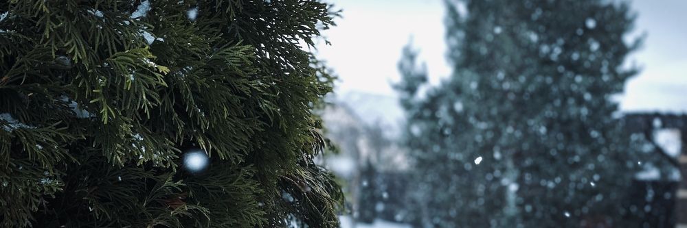 Фотография автора Askar Kashapov