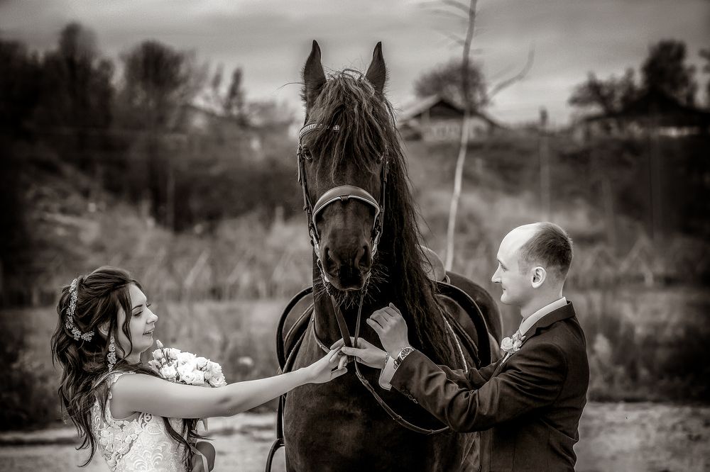 Photograph by Алексей Трифонов