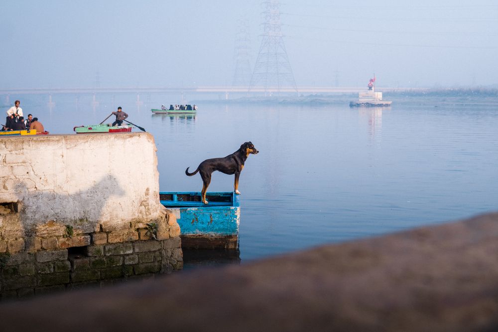 Photograph by Aryan Naik