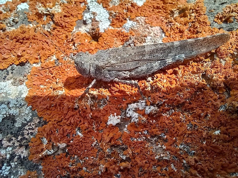 Фотография автора Nieves Gloria Alvarez Diaz