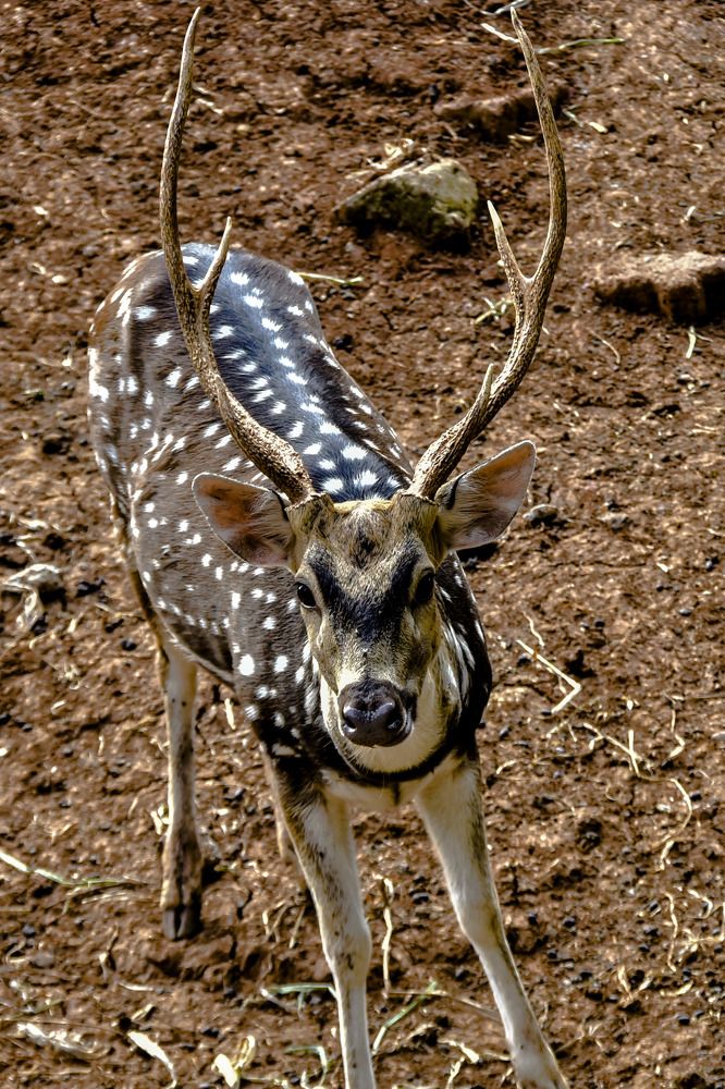 Photograph by Pujo Cahyono