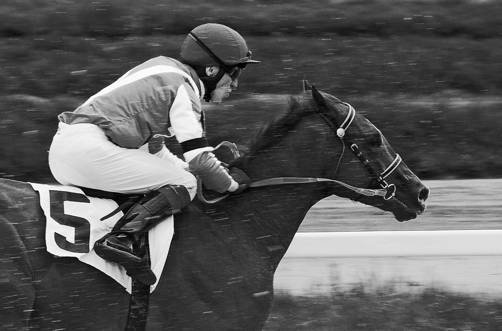 Photograph by Сергей Сережников