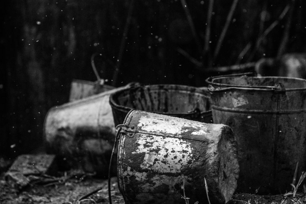 Photograph by Михаил Четвертков