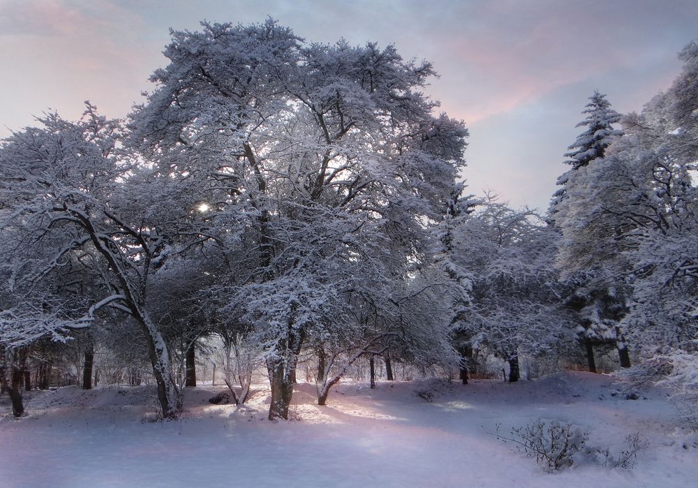 Зимняя сказка