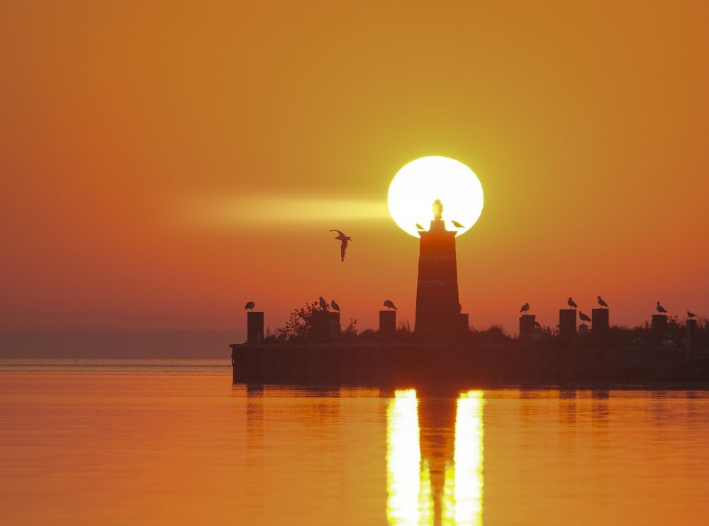 Photograph by Natalia Bolotenkova