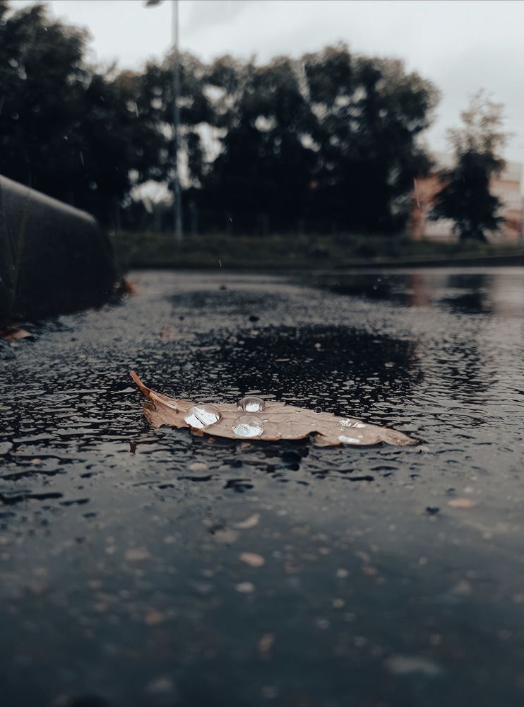 Photograph by Denis Dareuskiy