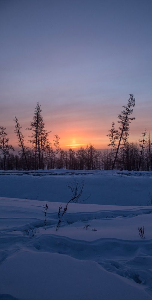 Photograph by Михаил Мархинин