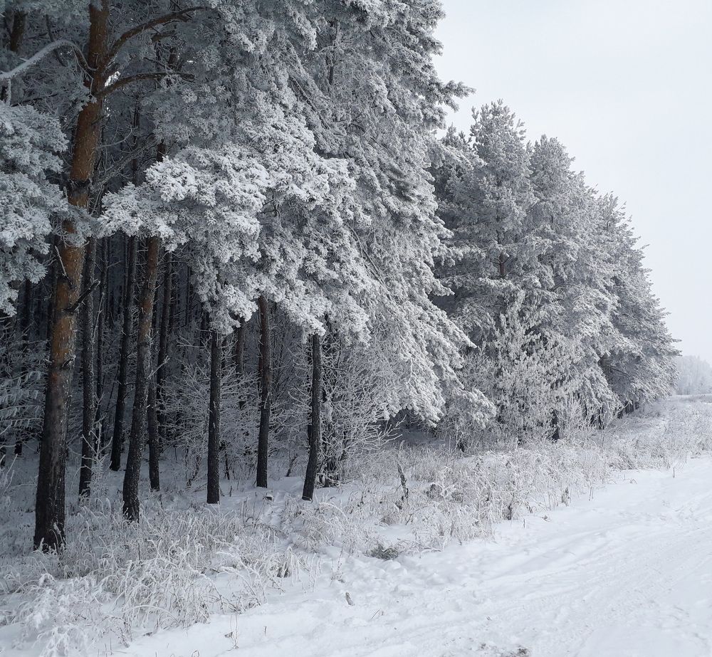 Photograph by Диана Кучумова
