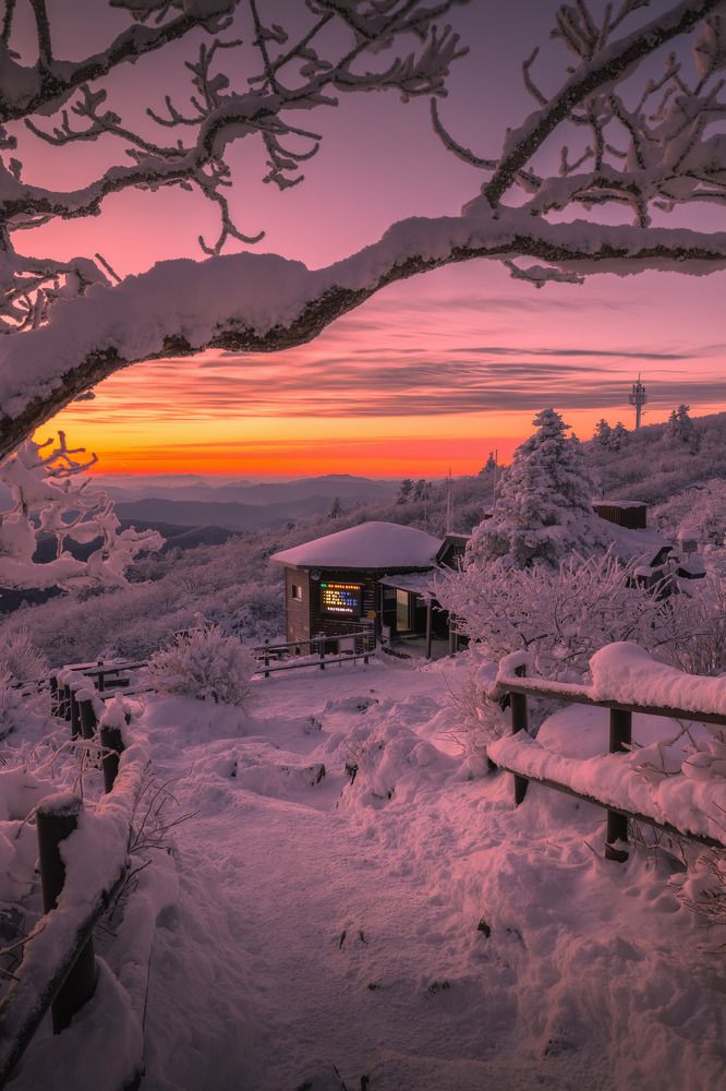 Фотография автора NGUYEN NGOC SON