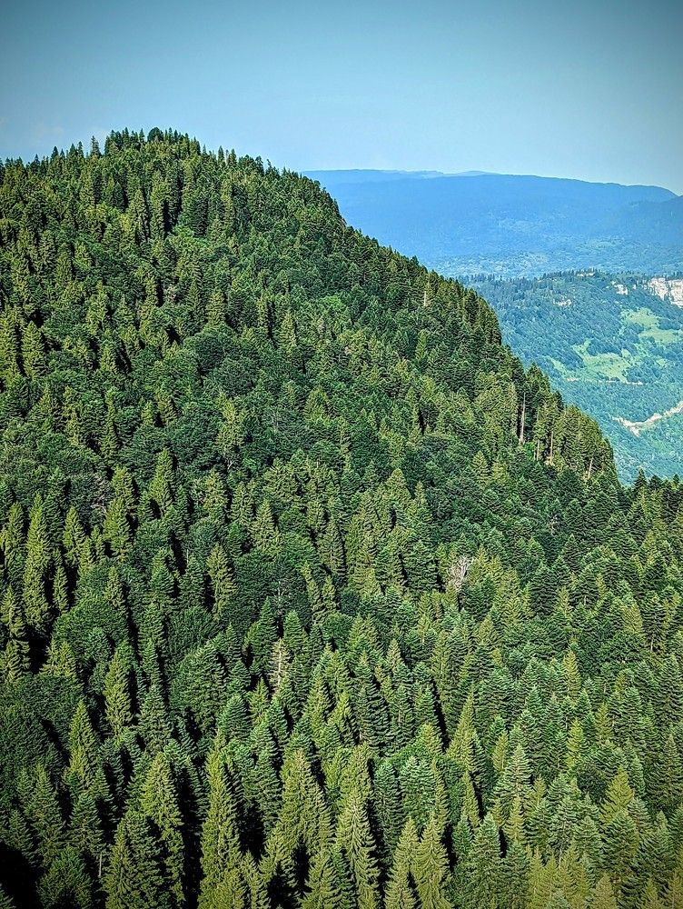 Фотография автора Ольга Костенко