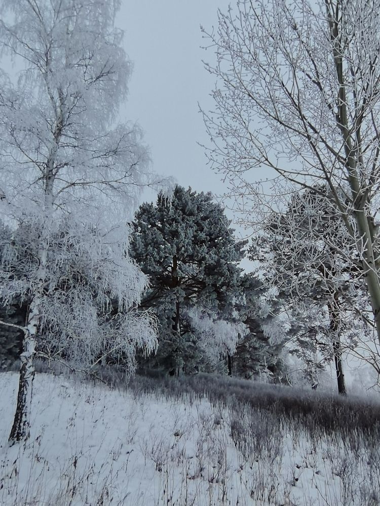 Photograph by Наталья Круглова