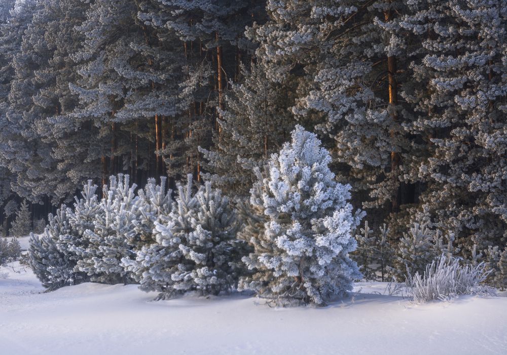 Малыши на прогулке