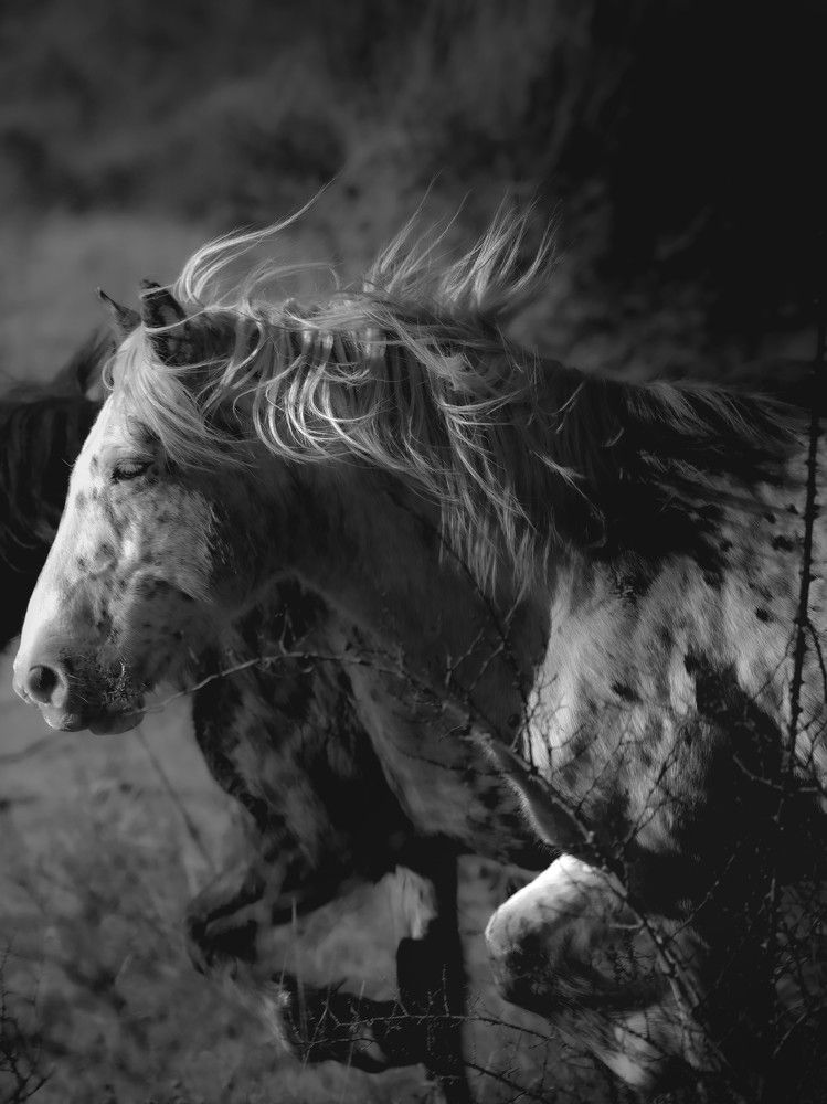 Photograph by Giuseppe Catalano