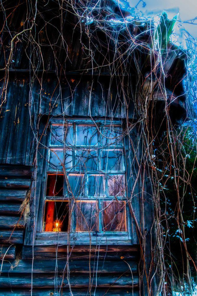 Фотография автора Ирина Гриценко