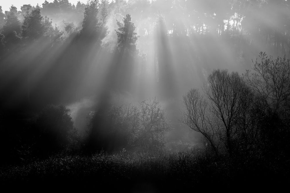 Photograph by Nikos(Nougzari) Leonov