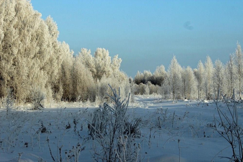 Утренняя красота.