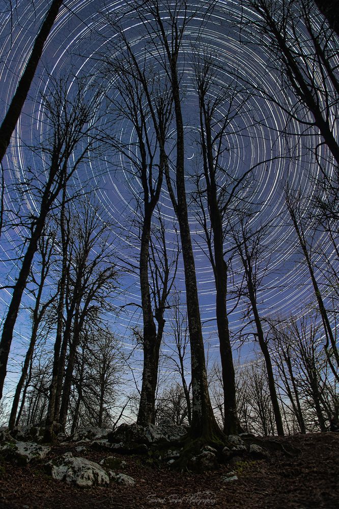 Photograph by Siamak Sabet