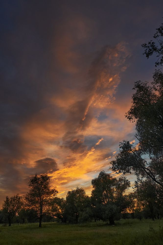 Фотография автора Игорь Игоревич