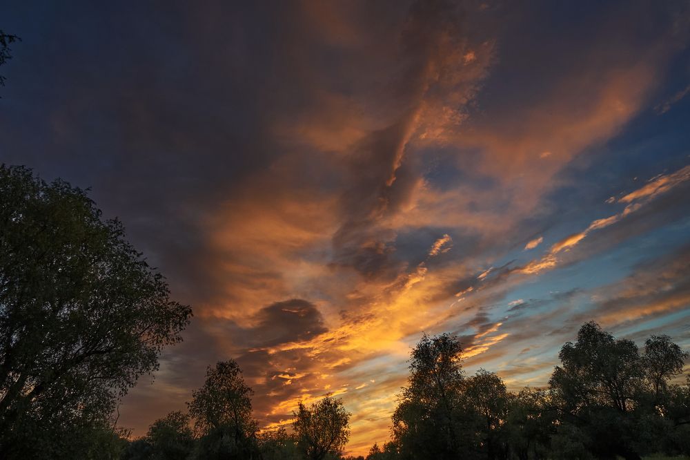 Фотография автора Игорь Игоревич