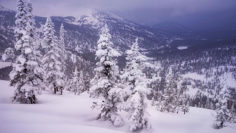 Фотография автора Татьяна Добровольская