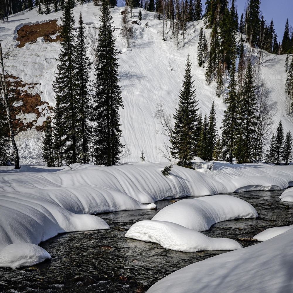 Фотография автора Татьяна Добровольская