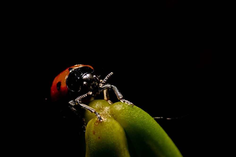 Фотография автора Игорь Игоревич