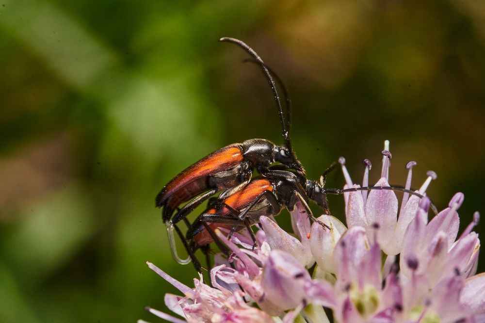 Фотография автора Игорь Игоревич