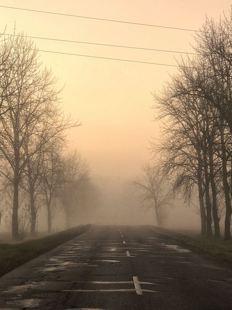 Photograph by Армен Егиян