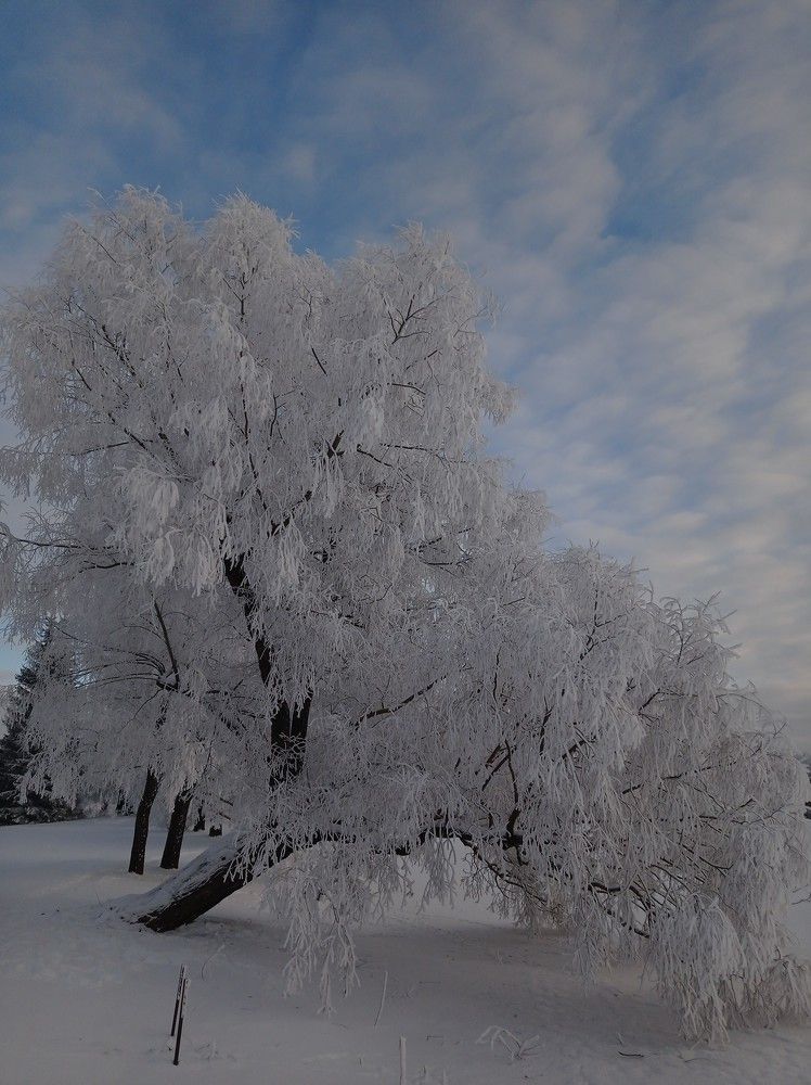 Photograph by Василий