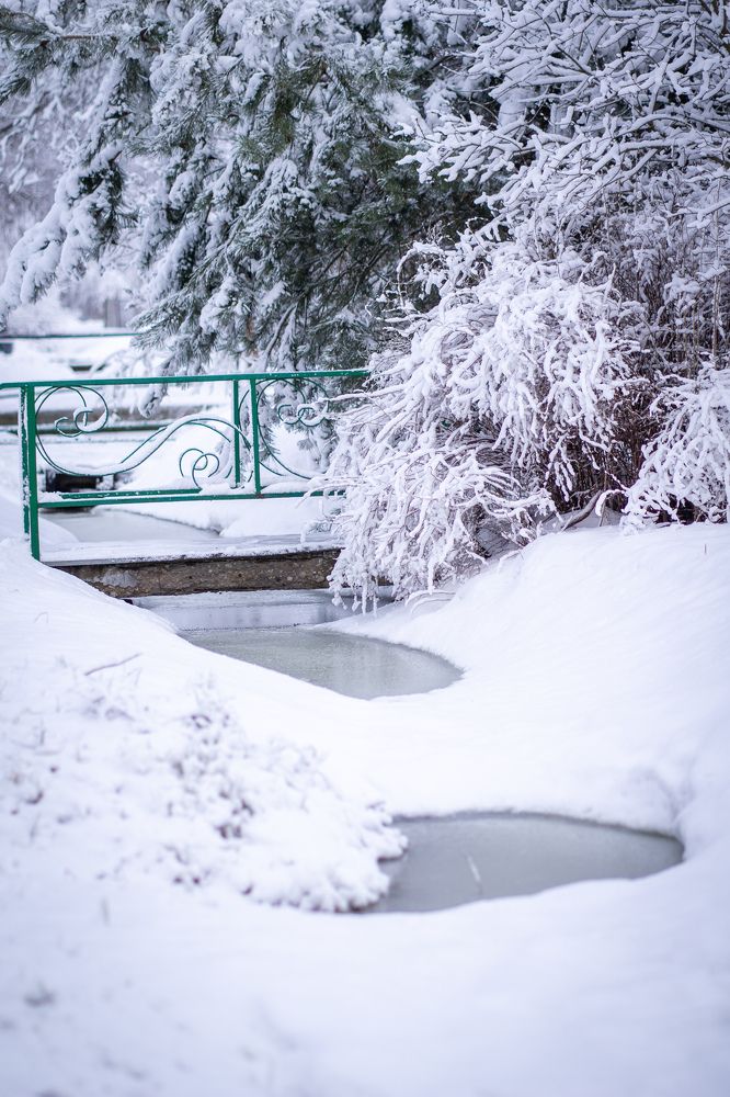 Photograph by Наталья Мэмэлигэ