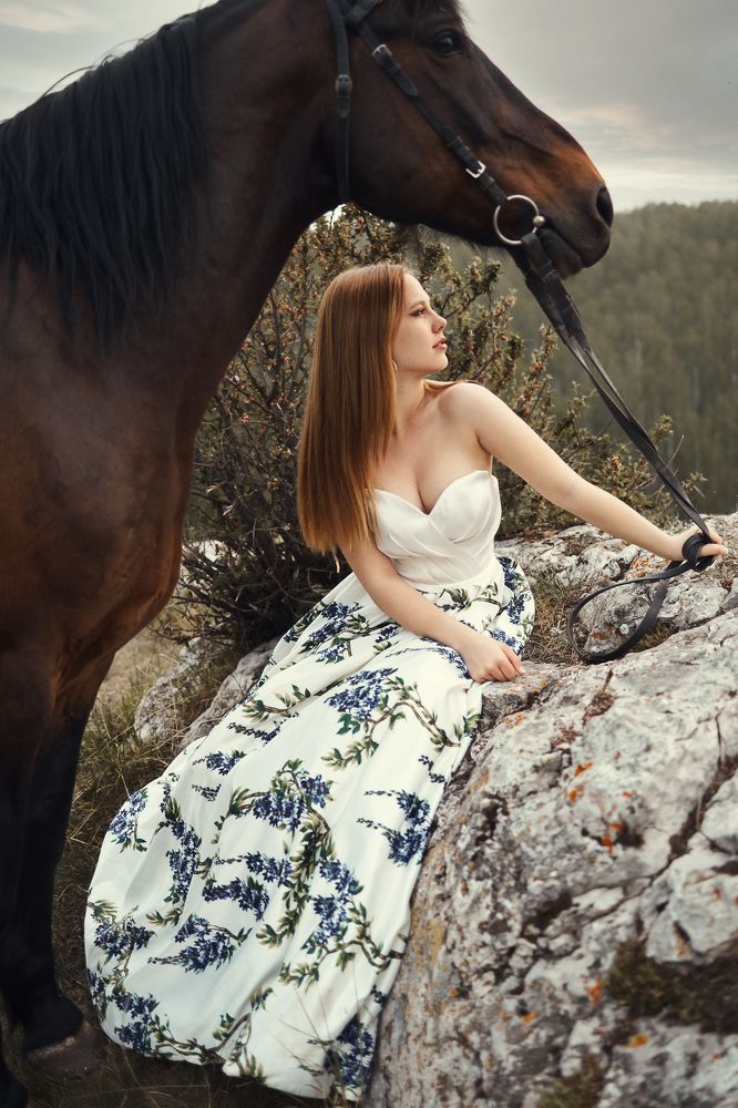 Фотография автора Дмитрий Шешуков