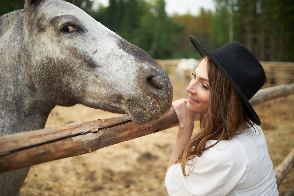 Фотография автора Дмитрий Шешуков