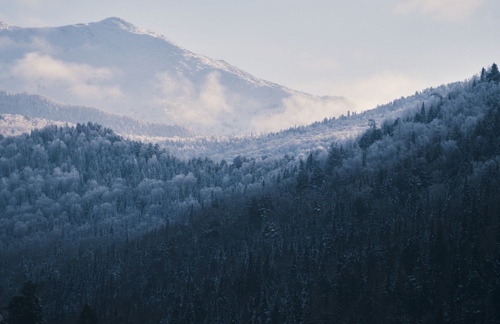 Photograph by Юля Чернецкая