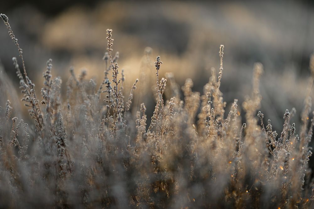 Photograph by Yong Lei van Barlingen