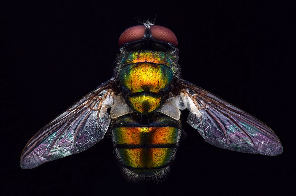 Photograph by Khalid Al-Wadhaihi