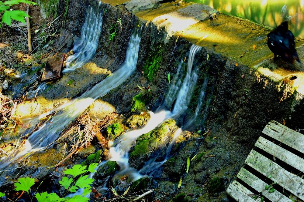 Photograph by Anita Taschek