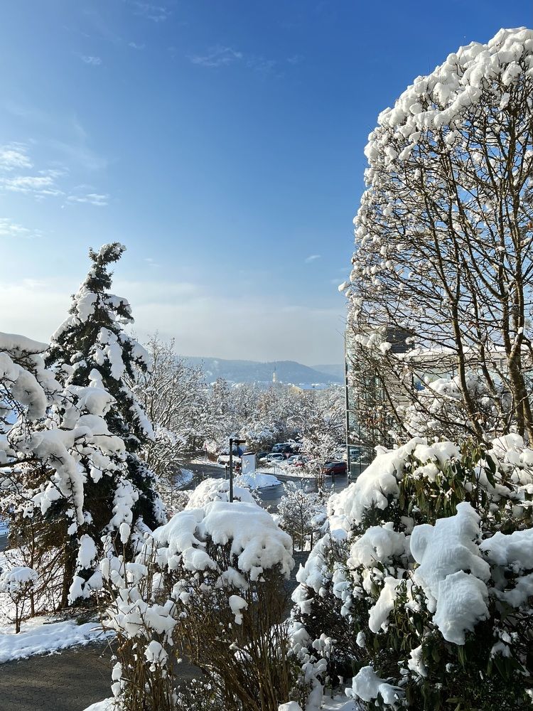 Photograph by Eugenia Schmidt