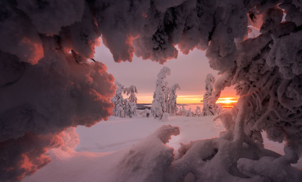 Photograph by Истомин Виталий