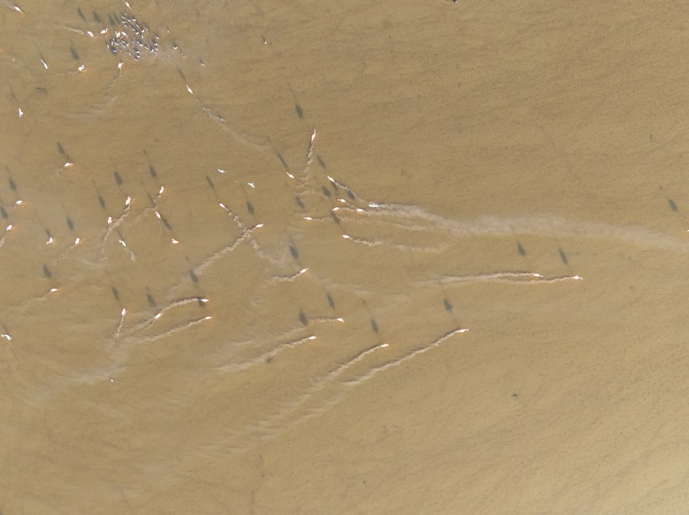 Photograph by Miguel Diaz