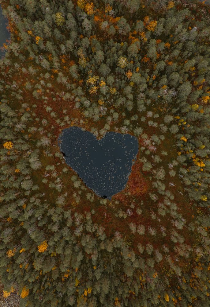 Фотография автора Андрей Дербин