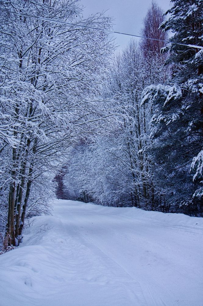 Photograph by Oksana Smorodina