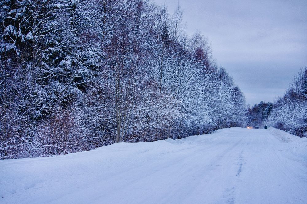 Photograph by Oksana Smorodina