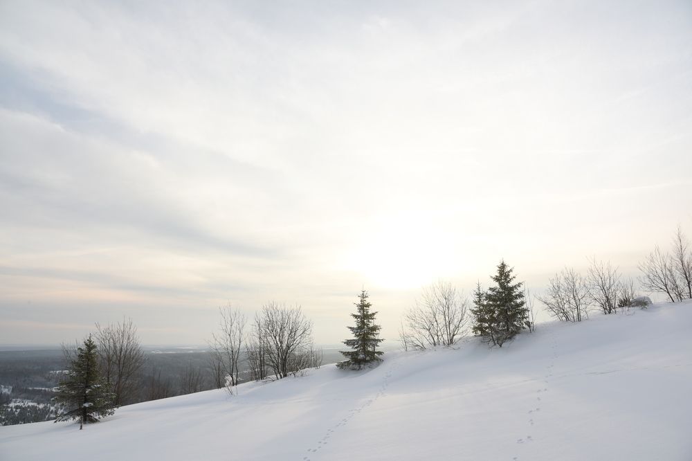 Photograph by Владислав Рубцов