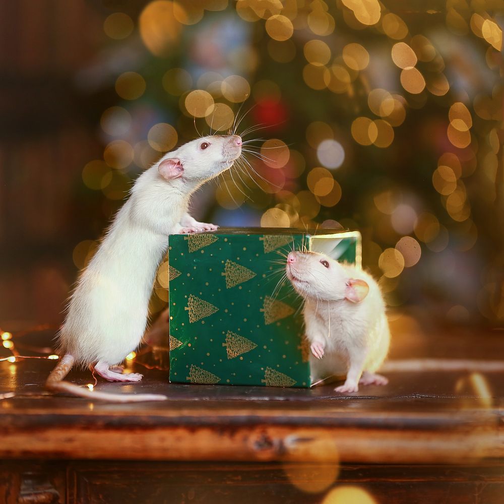 Photograph by Ирина Овчинникова